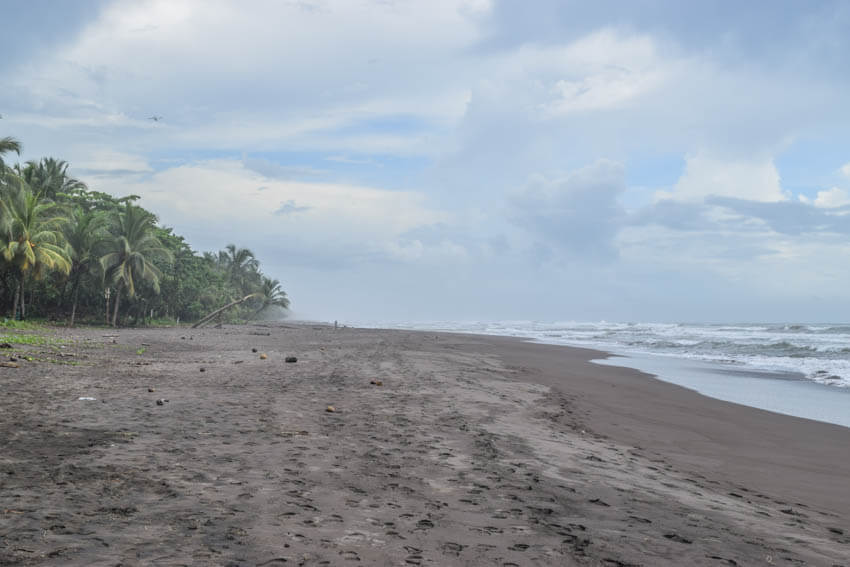 Costa Rica Roadtrip Tortuguero Strand