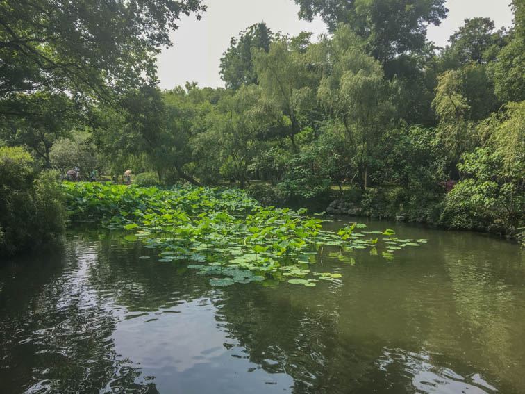 Suzhou Garten des bescheidenen Beamten Teich